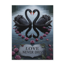Cygnes noirs romantiques, reflet du cœur avec text