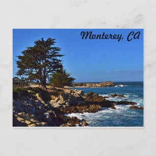 Carte Postale Cypress à Monterey