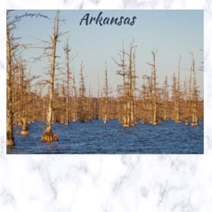Carte Postale Cypress Trees dans Big Lake NWR Arkansas