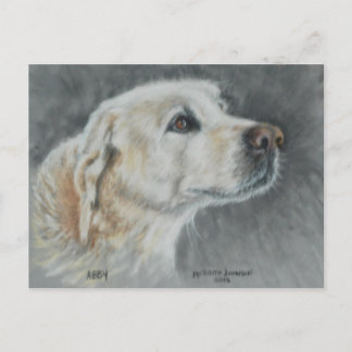 Carte postale d'Abby