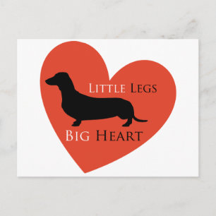 Carte Postale Dachshund