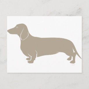 Carte Postale Dachshund