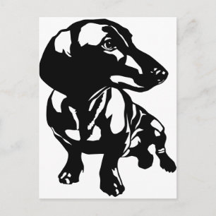 Carte Postale Dachshund