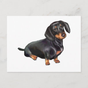 Carte Postale Dachshund (A) - Noir et feu
