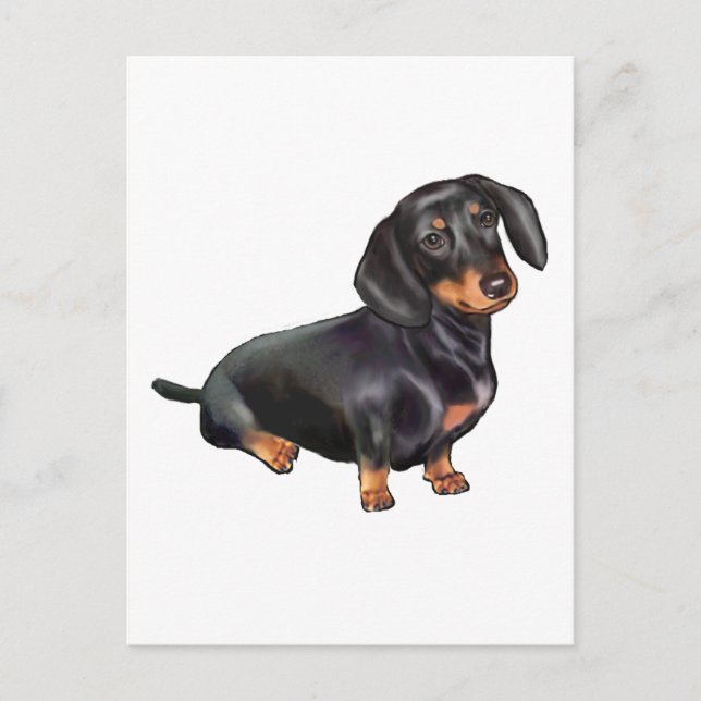 Carte Postale Dachshund (A) - Noir et Tan (Devant)