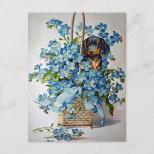 Carte Postale Dachshund and Forget-Me-Nots
