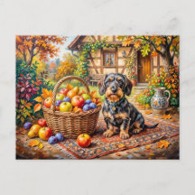 Dachshund assis à côté d'un panier de fruits en au