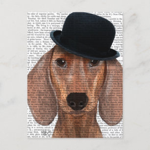 Carte Postale Dachshund avec Casquette Black Bowler
