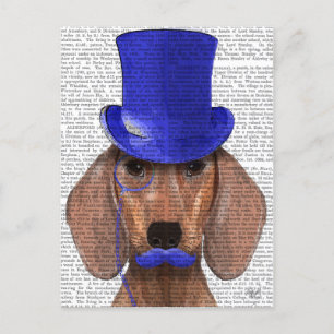 Carte Postale Dachshund avec chapeau bleu et moustache bleue