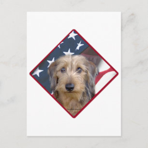 Carte Postale Dachshund Drapeau 2