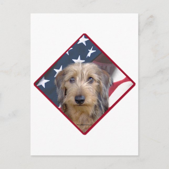 Carte Postale Dachshund Drapeau 2 (Devant)