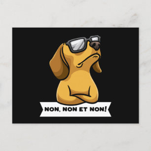 Carte Postale Dachshund drôle Chien têtu