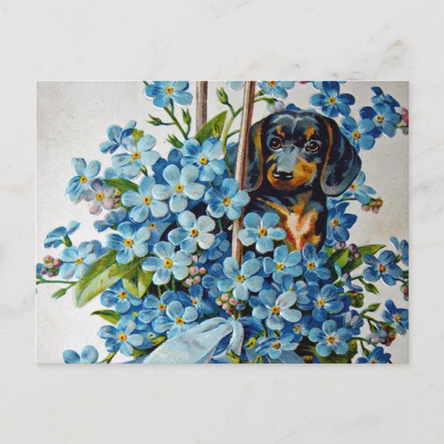 Carte Postale Dachshund et Forget-Me-Nots (Devant)
