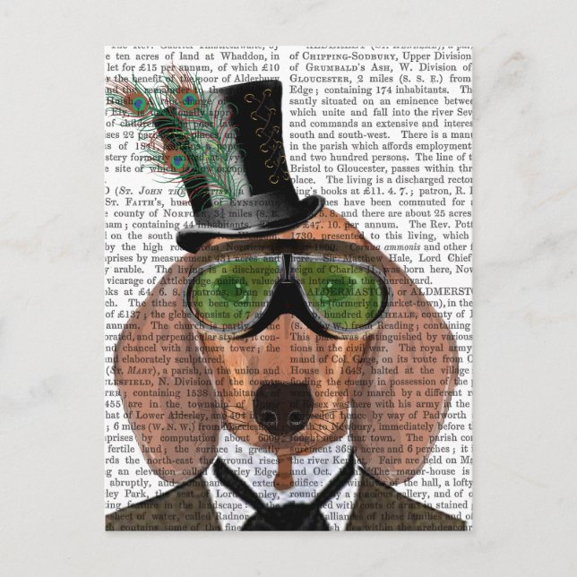 Carte Postale Dachshund Green Gogges Top Hat (Devant)