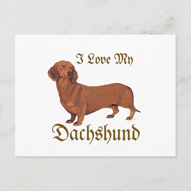 Carte Postale Dachshund Love (Devant)