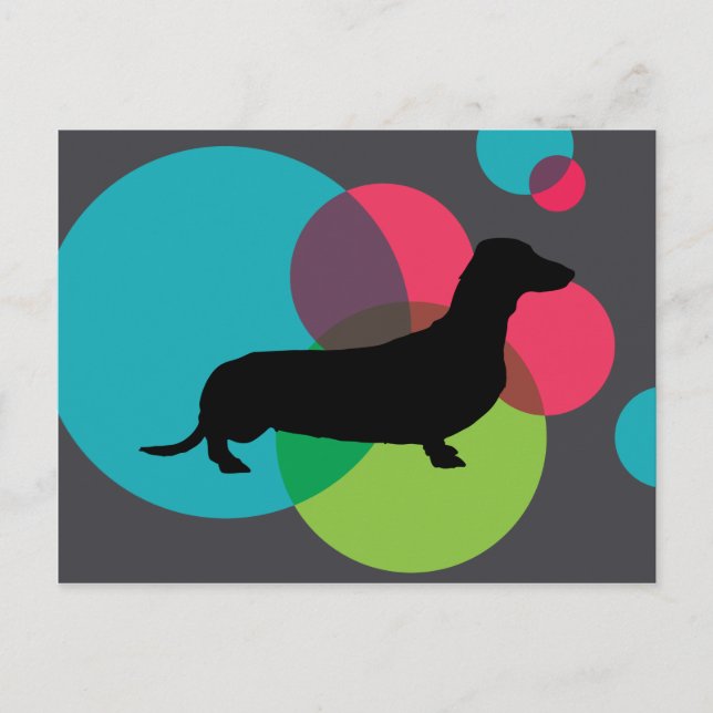 Carte Postale Dachshund noir avec motif à points lumineux (Devant)