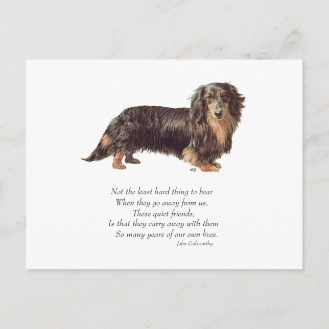 Carte Postale Dachshund Pont de l'Arc-en-Ciel (Devant)