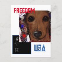 Dachshund Rouge     