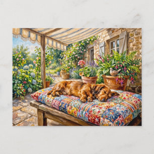 Carte Postale Dachshund se reposant sur un banc de jardin en pat