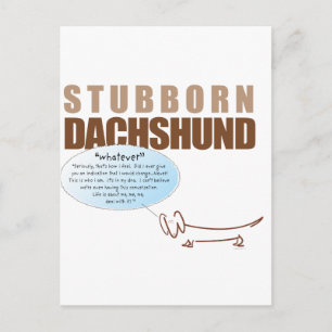 Carte Postale Dachshund têtu..QUOI QU'IL EN SOIT !