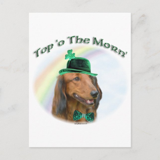 Carte Postale Dachshund Top of the Morn'; Dachshund St. Patrick (Devant)