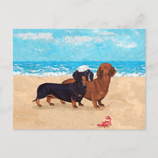 Carte Postale Dachshunds à la plage (Devant)