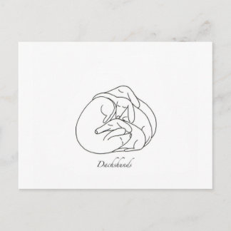 Carte Postale Dachshunds 'Curled Together'.jpg