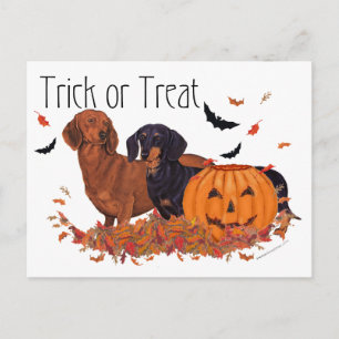 Carte Postale Dachshunds Halloween