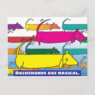 Carte Postale Dachshunds magic