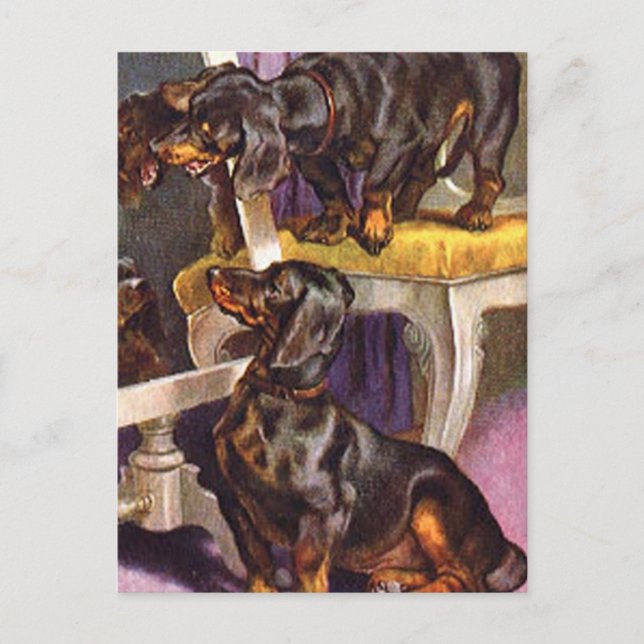Carte Postale Dachshunds regardant dans le miroir Cadeaux d'Art  (Devant)