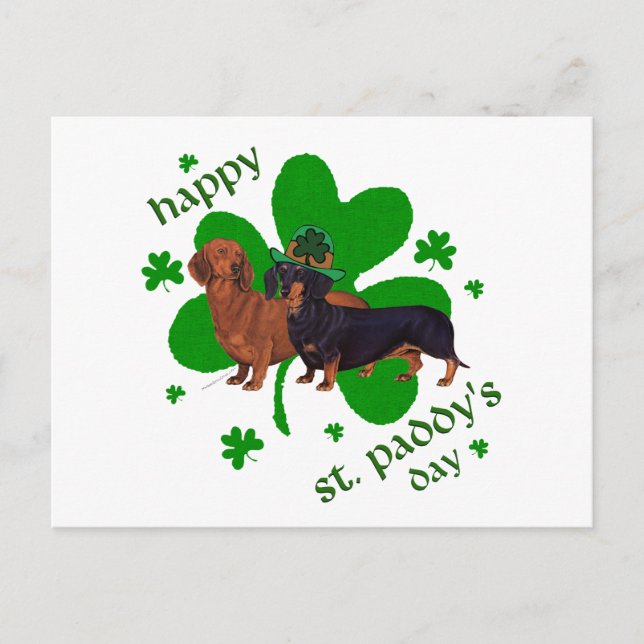 Carte Postale Dachshunds Saint-Patrick (Devant)