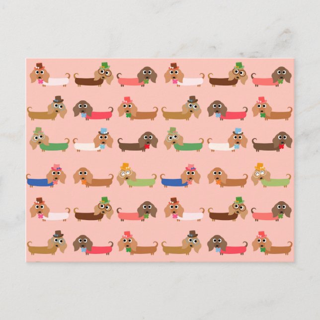 Carte Postale Dachshunds sur rose (Devant)