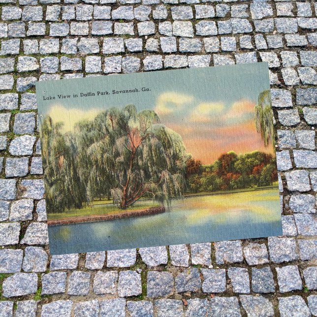 Carte Postale Daffin Park Lake View Savannah GA rétro (Créateur téléchargé)