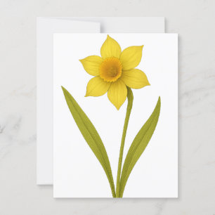 Carte Postale Daffodil — Amour inégal, soleil