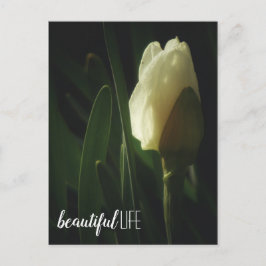 Carte Postale Daffodil Fleur Photo Belle Phrase Vie