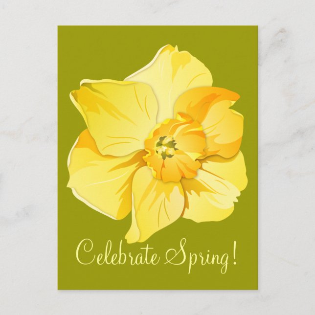Carte Postale Daffodil Jaune Courte Trompette Fleur de Printemps (Devant)