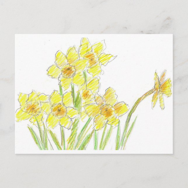 Carte Postale Daffodiles de printemps Fleurs d'aquarelle jaune (Devant)