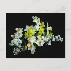 Carte Postale Daffodiles et Lilacs