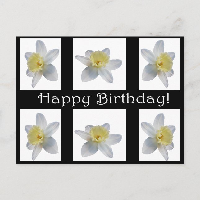 Carte Postale Daffodique blanc (Devant)