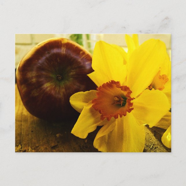 Carte postale Daffodique et Apple (Devant)