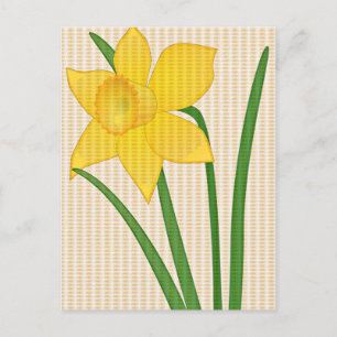 Carte Postale Daffodique Springtime Design de fleurs jaunes