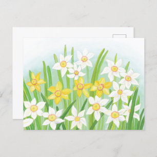 Carte Postale Daffodiques de printemps