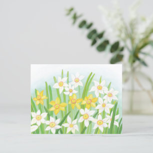 Carte Postale Daffodiques de printemps