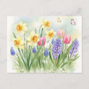 Carte Postale Daffodiques, Tulipes, Hyacinthes, Papillons