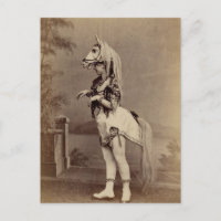 Daguerréotype victorien/photo de costume de cheval