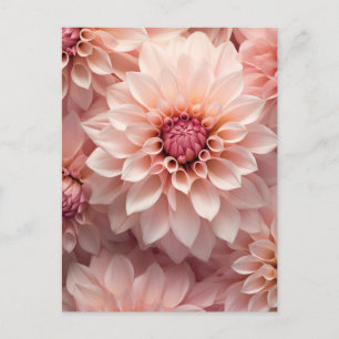 Carte Postale dahlia aux couleurs pastel douces.