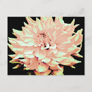 Carte Postale Dahlia - Lune de miel - Pêche de pêche pâle
