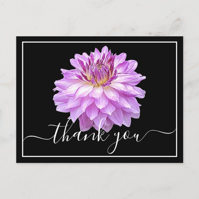 Carte Postale Dahlia Pourpre Avec Fond Noir Merci (Devant)
