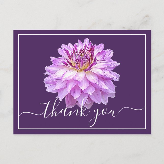Carte Postale Dahlia pourpre sur fond violet Merci (Devant)