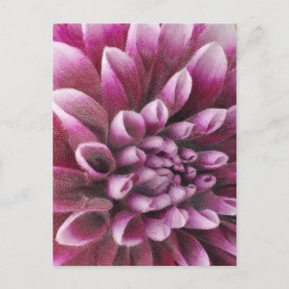 Carte Postale Dahlia rose